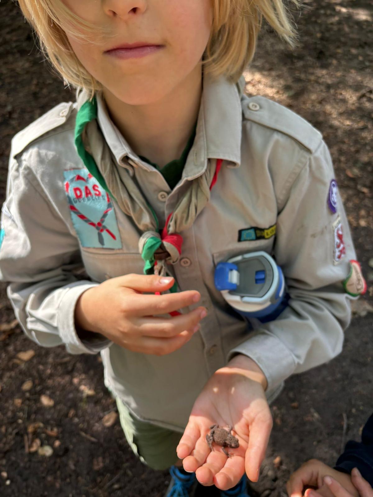 Sint-Martinus den XIIde - Opening 2024